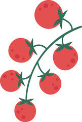 Illustration showcasing a cluster of ripe red tomatoes hanging from a lush green vine. The simple and clean design emphasizes freshness and organic growth, ideal for agricultural themes
