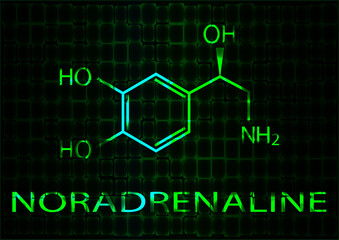 The chemical formula of noradrenaline. Neon illustration. Vector EPS 10
