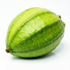 Intact green cocoa leaf, smooth edges, clean white backdrop, natural, studio shot