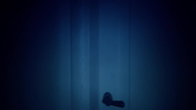 POV horror shot in dark haunted house as investigator opens creaky door, revealing shadowy presence. Scene distorts and blurs, suggesting supernatural encounter. Grainy texture and eerie blue tints.
