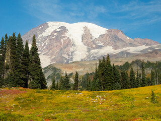 USA, Washington State, Mount Rainier National Park. Snow-capped Mount Rainier with meadow in fall color