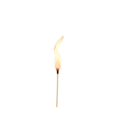 Single Matchstick Flame Rising into the Air Isolated on Transparent Background