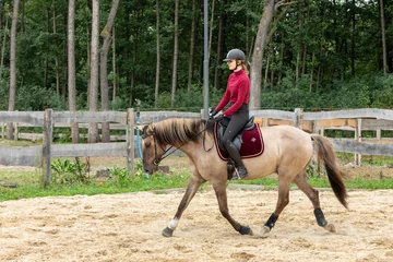 Fototapeten A young woman rides a Lusitano horse in the riding arena. Behind the horse is a wooden fence and forest. © Fotema
