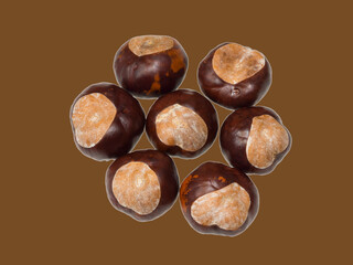 USA, Washington State. Chestnut still-life, chestnuts with dark brown colored background
