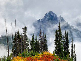 Washington State, Mount Rainier National Park. Denman Peak in the Tatoosh Range with vibrant fall color, alpine fir trees and storm clouds