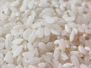 A close-up of round-grain rice, showing its shiny texture and natural hue, perfect for a culinary theme.