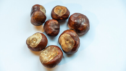 Fototapeta premium A bunch of chestnuts rests on a smooth, homogeneous background, highlighting their rich, glossy shells. Perfect for showcasing seasonal flavors or healthy snacking. Space available for text.