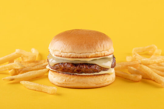 Gourmet Cheese burger on colorful background