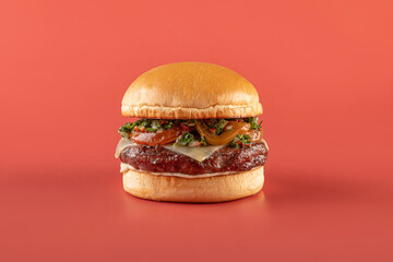 Gourmet Cheese burger on colorful background