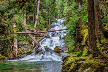 Mt. Rainier National Park, Chenuis Falls