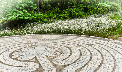 USA, Washington State, Anderson Island. A labyrinth is surrounded by fields of daisies.