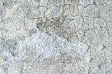USA, Washington State, Whidbey Island. Fort Casey Historical State Park, concrete wall abstract