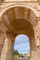 Fototapeta premium Triumphant arch of Septimus Severus in Leptis Magna, Libya