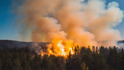 Towering flames consume a dense forest, smoke billowing into the night sky.