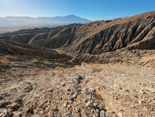 Canyon View from Herman's Hike at Coachella Valley Preserve, California