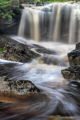 Fototapeta premium USA, West Virginia, Canaan Valley State Park. Blackwater River waterfall and rapids.