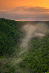 USA, West Virginia, Blackwater Falls State Park. Landscape overview of forested valley at sunset.