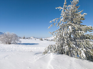 Winter Landscape of Vitosha Mountain, Bulgaria