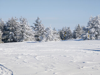 Winter Landscape of Vitosha Mountain, Bulgaria