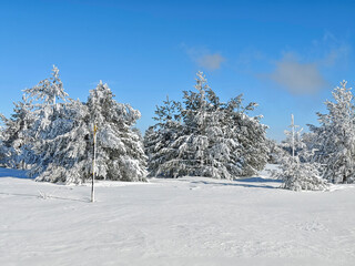 Winter Landscape of Vitosha Mountain, Bulgaria