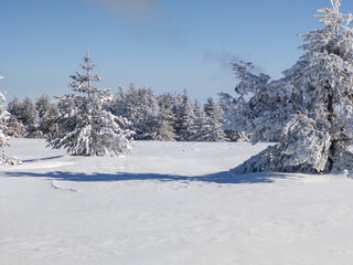 Winter Landscape of Vitosha Mountain, Bulgaria