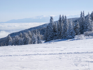 Winter Landscape of Vitosha Mountain, Bulgaria
