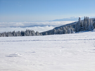 Winter Landscape of Vitosha Mountain, Bulgaria