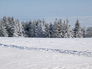 Winter Landscape of Vitosha Mountain, Bulgaria