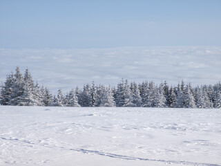 Winter Landscape of Vitosha Mountain, Bulgaria