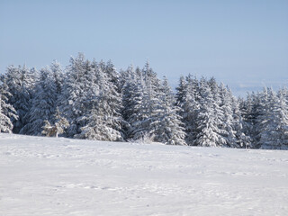 Winter Landscape of Vitosha Mountain, Bulgaria