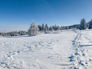 Winter Landscape of Vitosha Mountain, Bulgaria