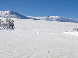 Winter Landscape of Vitosha Mountain, Bulgaria