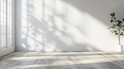 This is a serene and modern image of an empty living room bathed in natural sunlight. The room features light-colored wooden flooring, white walls, and a minimalist aesthetic with a few carefully