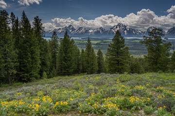 USA, Wyoming. Landscape of Teton Mountains, Mount Moran and Grand Teton from the east, Grand Teton National Park