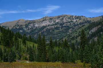 USA, Wyoming. Landscape of Teton Canyon, Caribou-Targhee National Forest