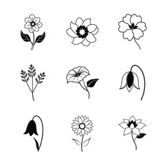 Set of flower line art vector illustration