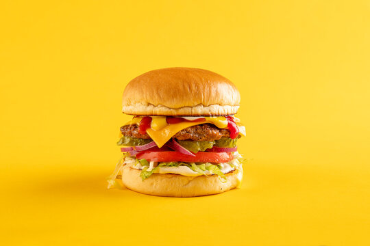 Gourmet Cheese burger on colorful background