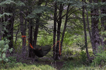 Subject sleeping in a hammock in a peaceful forest. Tranquil nature, relaxation, forest landscape, greenery, outdoor rest, calm, serenity, peaceful sleep, wilderness, escape, forest therapy