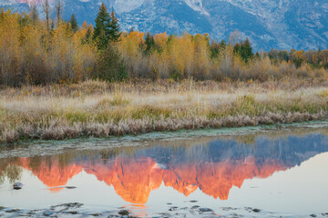 Alpen glow, autumn reflections in Grand Tetons National Park