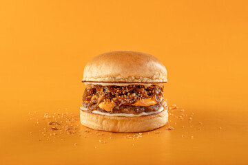 Gourmet Cheese burger on colorful background