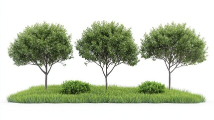 Obraz premium Three Green Trees and Shrubs: Three lush, green trees stand side by side, their full canopies creating a picturesque scene. Small shrubs add depth and texture at their base, creating a visual balance.