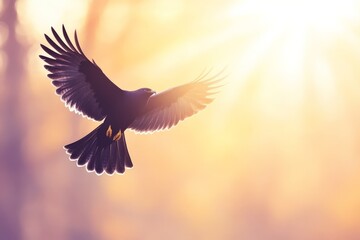 Obraz premium Bird soaring gracefully through warm golden sunlight in a serene natural setting