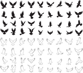 Silhouette set of birds Icon vector art illustration with white background