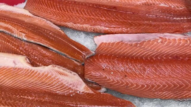 Raw fresh layers of Atlantic salmon lie on shallow ice at the seafood market. An open shelf at the fish market. Close-up