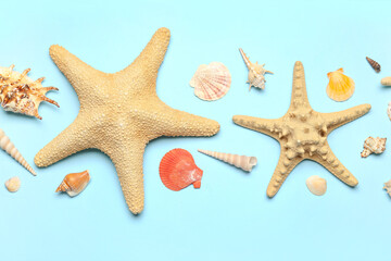 Seashells and starfishes on blue background