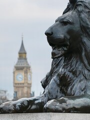 Lion statue in London, Big Ben,  © romansucho 67
