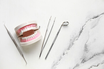 Jaw model and dental tools on white marble background. World Dentist Day
