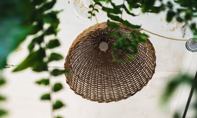 A woven rattan lampshade hangs from the ceiling, surrounded by green vines. The natural texture and...