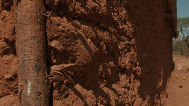 Close-up of distinctive texture of wall of savannah house made of logs, sticks and clay. Cattle-raising tribes build long houses from branches coated with cow dung, which dries to form hard layer 
