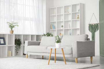 Interior of light living room with sofa, shelving unit, houseplant and coffee table